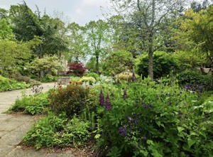 Biblical Gardens 2